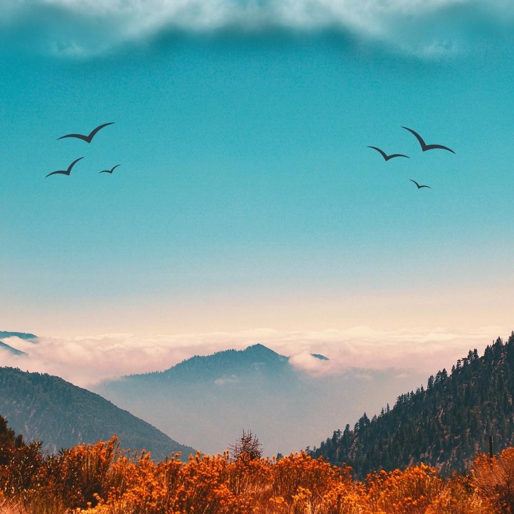 Serene landscape with mountains, clouds, and birds flying in a clear blue sky, symbolizing the precision and reliability of Duct Duct Goose's fabrication services for commercial projects.
